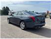 2026 Cadillac CT4 Luxury (Stk: 261635A) in Uxbridge - Image 5 of 29