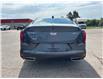 2026 Cadillac CT4 Luxury (Stk: 261635A) in Uxbridge - Image 6 of 29