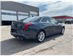 2026 Cadillac CT4 Luxury (Stk: 261635A) in Uxbridge - Image 7 of 29