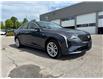 2026 Cadillac CT4 Luxury (Stk: 261635A) in Uxbridge - Image 9 of 29
