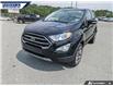 2022 Ford EcoSport Titanium (Stk: P5054A) in Dartmouth - Image 8 of 24