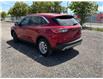 2022 Ford Escape SE (Stk: 135245) in London - Image 3 of 22