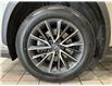 2025 Lexus NX 350  (Stk: 14112898A) in Markham - Image 10 of 27