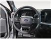 2026 Ford F-150 XL (Stk: 17209) in Wyoming - Image 13 of 15