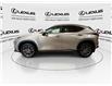 2025 Lexus NX 350  (Stk: 14112898A) in Markham - Image 5 of 27