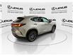 2025 Lexus NX 350  (Stk: 14112898A) in Markham - Image 8 of 27