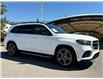 2020 Mercedes-Benz GLS 450 Base (Stk: 260244A) in Calgary - Image 2 of 20