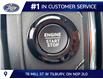 2027 Ford Expedition Platinum (Stk: LFED02113) in Tilbury - Image 11 of 15