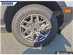 2026 Ford Bronco Sport Big Bend (Stk: 28869) in Dartmouth - Image 7 of 24