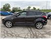 2013 Ford Escape SE (Stk: OFLP7360Z) in Oakville - Image 5 of 22