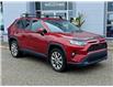 2019 Toyota RAV4 XLE (Stk: 28516P) in Newmarket - Image 2 of 22 2019 Toyota RAV4 XLE (Stk: 28516P) in Newmarket - Image 2 of 22