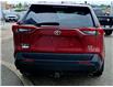 2019 Toyota RAV4 XLE (Stk: 28516P) in Newmarket - Image 7 of 22 2019 Toyota RAV4 XLE (Stk: 28516P) in Newmarket - Image 7 of 22