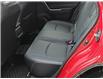 2019 Toyota RAV4 XLE (Stk: 28516P) in Newmarket - Image 16 of 22 2019 Toyota RAV4 XLE (Stk: 28516P) in Newmarket - Image 16 of 22