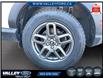 2025 Ford Bronco Sport Big Bend (Stk: 26P088) in Kentville - Image 7 of 20