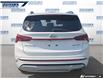 2023 Hyundai Santa Fe Ultimate Calligraphy (Stk: P1174B) in Dartmouth - Image 5 of 24