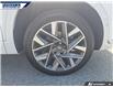 2023 Hyundai Santa Fe Ultimate Calligraphy (Stk: P1174B) in Dartmouth - Image 7 of 24