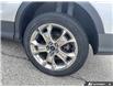 2015 Ford Escape SE (Stk: 5UTT6587) in Sarnia - Image 5 of 16