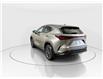 2026 Lexus NX 350  (Stk: 14113036) in Markham - Image 5 of 8