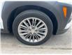 2019 Hyundai Kona 2.0L Preferred (Stk: H326933) in Scarborough - Image 4 of 22