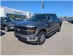 2025 Ford F-150 XLT (Stk: 19572) in Calgary - Image 1 of 24