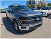 2025 Ford F-150 XLT (Stk: 19572) in Calgary - Image 9 of 24