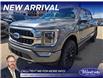2021 Ford F-150 Platinum (Stk: T-1506A) in Calgary - Image 1 of 4