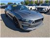 2021 Ford Mustang GT Premium (Stk: 19586) in Calgary - Image 8 of 18