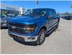 2025 Ford F-150 XLT (Stk: 19571) in Calgary - Image 1 of 24