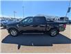 2025 Ford F-150 XLT (Stk: 19569) in Calgary - Image 4 of 24