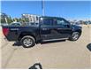 2025 Ford F-150 XLT (Stk: 19569) in Calgary - Image 8 of 24