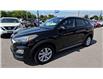 2019 Hyundai Tucson Preferred (Stk: 21U2387A) in Whitby - Image 4 of 20