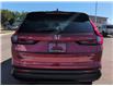 2026 Honda CR-V Sport (Stk: 4347) in Lethbridge - Image 4 of 30