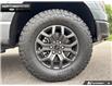 2026 Ford F-150 Tremor (Stk: 6F149069) in Brantford - Image 6 of 25