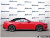 2025 Ford Mustang EcoBoost (Stk: 43198) in Georgetown - Image 6 of 29