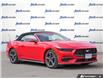2025 Ford Mustang EcoBoost (Stk: 43198) in Georgetown - Image 7 of 29
