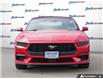 2025 Ford Mustang EcoBoost (Stk: 43198) in Georgetown - Image 8 of 29
