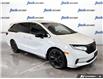 2024 Honda Odyssey Black Edition (Stk: 167140) in London - Image 5 of 26