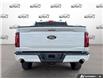 2025 Ford F-150 XLT (Stk: OFLP7443) in Oakville - Image 5 of 32