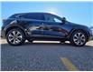2023 Ford Escape Platinum (Stk: TA-1072A) in Calgary - Image 4 of 15