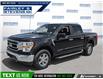 2021 Ford F-150 XLT (Stk: P8768) in Dartmouth - Image 1 of 24