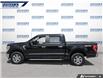2021 Ford F-150 XLT (Stk: P8768) in Dartmouth - Image 3 of 24