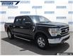 2021 Ford F-150 XLT (Stk: P8768) in Dartmouth - Image 6 of 24