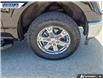 2021 Ford F-150 XLT (Stk: P8768) in Dartmouth - Image 7 of 24