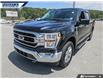 2021 Ford F-150 XLT (Stk: P8768) in Dartmouth - Image 8 of 24