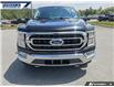 2021 Ford F-150 XLT (Stk: P8768) in Dartmouth - Image 9 of 24