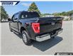 2021 Ford F-150 XLT (Stk: P8768) in Dartmouth - Image 10 of 24