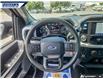 2021 Ford F-150 XLT (Stk: P8768) in Dartmouth - Image 13 of 24