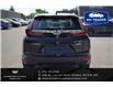 2020 Honda CR-V Black Edition (Stk: R28216B) in Ottawa - Image 7 of 23 2020 Honda CR-V Black Edition (Stk: R28216B) in Ottawa - Image 7 of 23