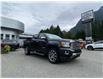 2018 GMC Canyon Denali (Stk: 5T302C) in Hope - Image 7 of 13