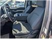 2024 Ford F-150 XLT (Stk: 19568) in Calgary - Image 20 of 24